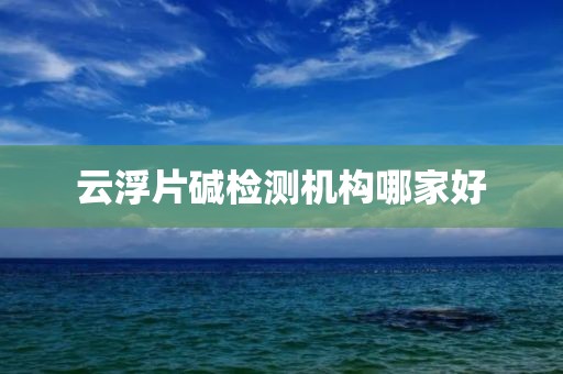 云浮片碱检测机构哪家好